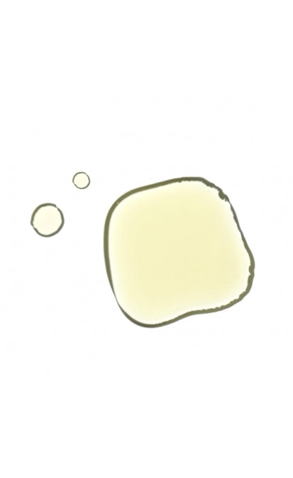 AHAVA YOUTH BOOSTERS CRYSTAL OSMOTER™ X6 veido serumas 30 ml